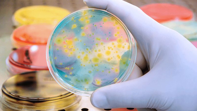 生物科技产品研发：揭秘从实验室到市场的每一步**