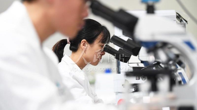 生物医药外包质量控制规范：构建安全有效的研发保障