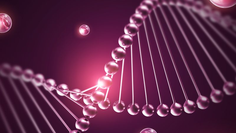逆转录酶：揭秘其在生物科技领域的应用与市场分布