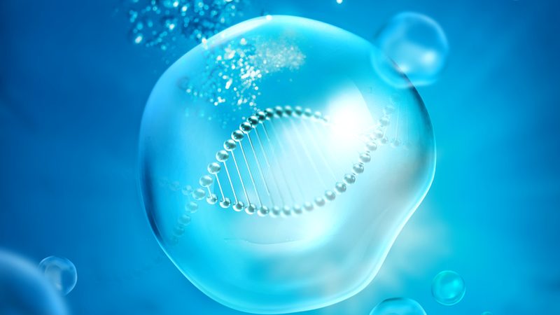 生物医药外包实验室资质认证：标准与要点解析