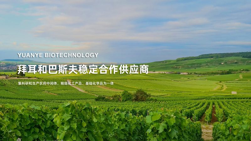 细胞工厂参数对比，如何选择最适合的解决方案？**