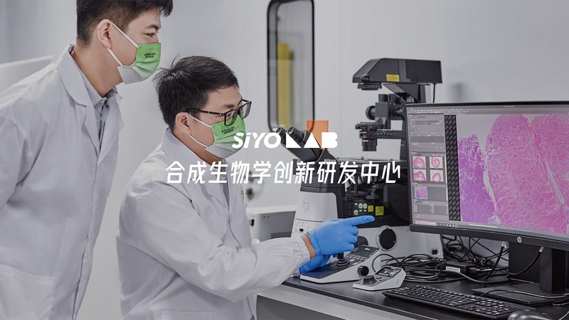 小分子CDMO价格背后的考量因素**