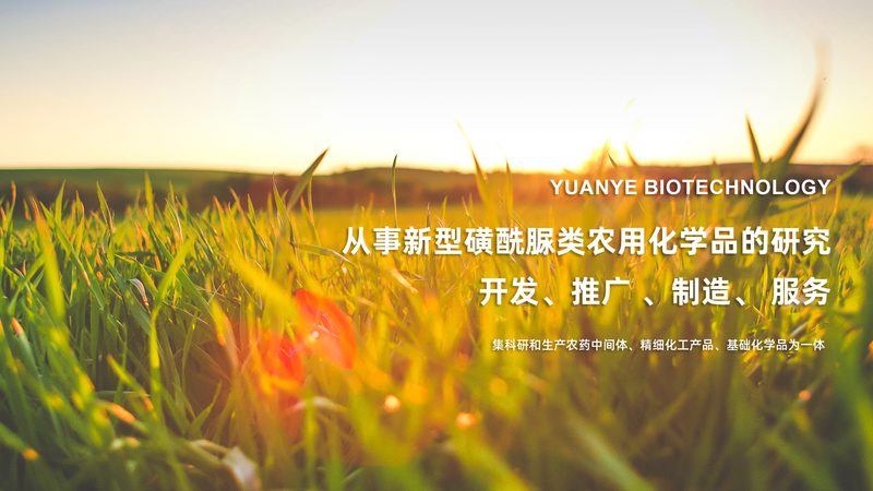 引物合成：揭秘高效基因检测的关键步骤**