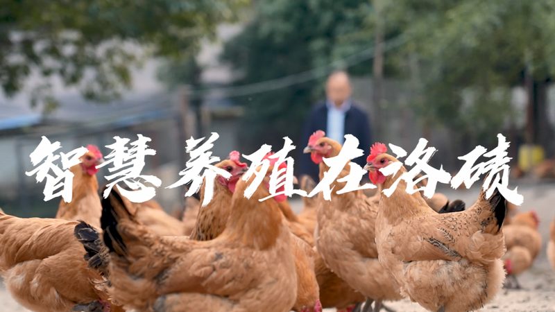 RNA提取试剂盒：揭秘其批发价格背后的秘密